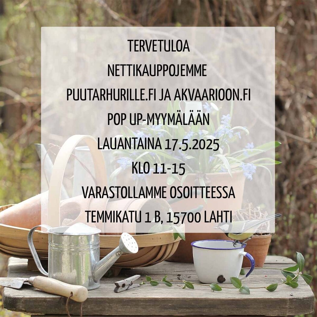 Popup 250517