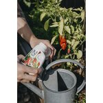 Nelson Garden Chililannoite 250 ml