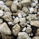 Sybotanica Lithops & Split rock mix 5 l