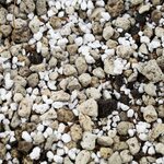 Sybotanica Lithops & Split rock mix 5 l