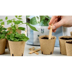 Nelson Garden Seed. Premium kylvömulta 4 l