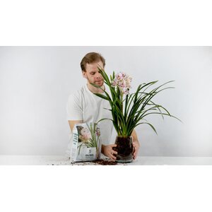 Nelson Garden Orchid. Premium orkideamulta 4 l