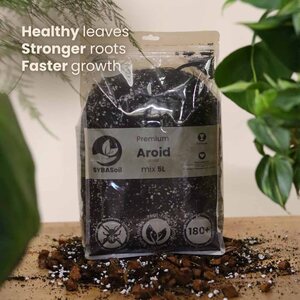 Sybotanica Aroid mix 5 l