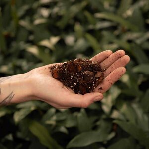 Sybotanica Hoya mix 5 l