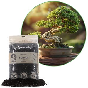 Sybotanica Bonsai mix 5 l