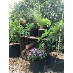 Grow-Win Viljelysäkki 55 l