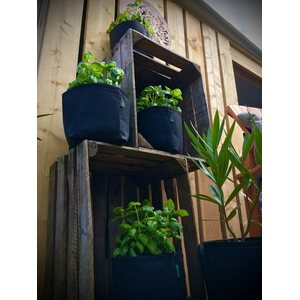Grow-Win Viljelysäkki 55 l