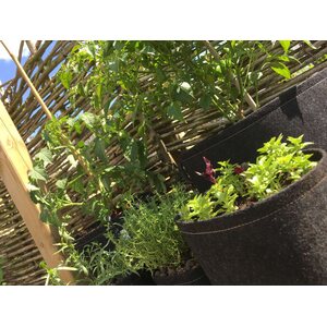 Grow-Win Viljelysäkki 8 l