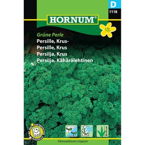 Hornum Kähärälehtinen persilja 'Grüne Perle' (Petroselinum crispum)