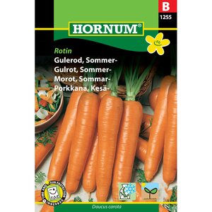 Hornum Kesäporkkana 'Rotin' (Daucus carota)