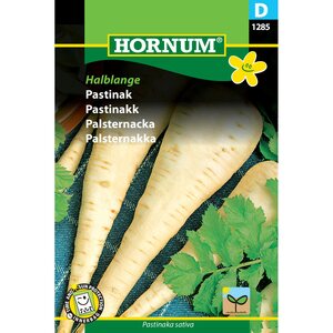 Hornum Palsternakka 'Halblange' (Pastinaca sativa)