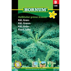Hornum Lehtikaali ’Halbhoher grüner krauser’ (Brassica oleracea var. sabellica)