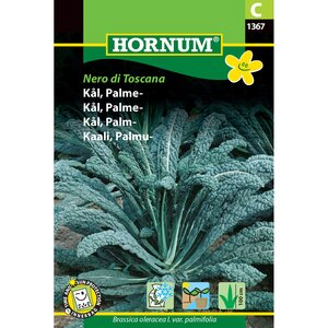 Hornum Mustakaali ’Nero di Toscana’ (Brassica oleracea var. sabellica)