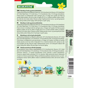 Hornum Lehtisalaattisekoitus 'Baby Leaf' (Lactuca sativa)
