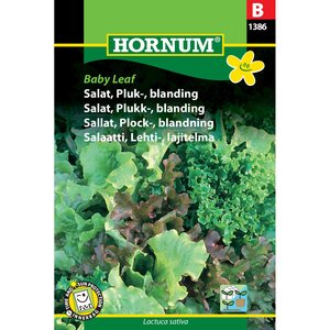 Hornum Lehtisalaattisekoitus 'Baby Leaf' (Lactuca sativa)