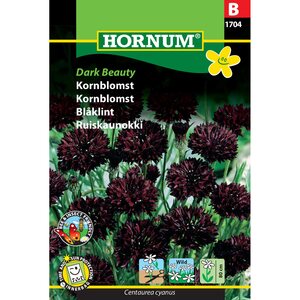 Hornum Ruiskaunokki 'Dark Beauty'	(Centaurea cyanus)