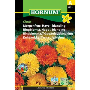 Hornum Tarhakehäkukkasekoitus 'Citrus' (Calendula officinalis)