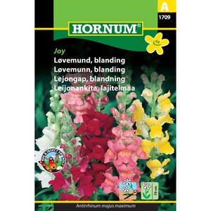 Hornum Leijonankitasekoitus 'Joy Mix' (Antirrhinum majus)