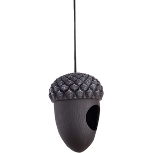 Tammenterho lintulauta ruokinta-aukolla