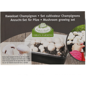 Herkkusienten kasvatussetti