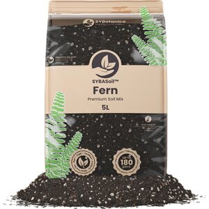 Sybotanica Fern mix 5 l