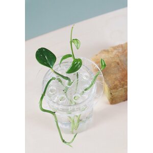 Maljakkotuki ”Belle plante”