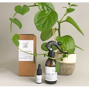Leaf Booster kasvienhoitoaine