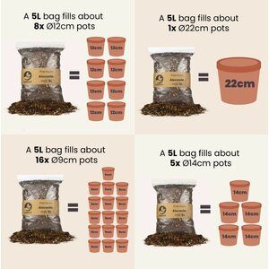 Sybotanica Cacti & Succulent mix 5 l