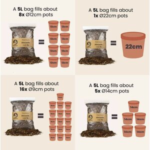 Sybotanica Lithops & Split rock mix 3 l