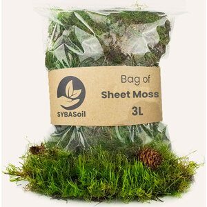 Sybotanica Live sheet moss 3 l