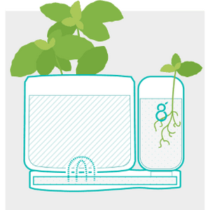 2in1 yrttiruukku