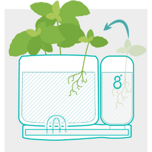 2in1 yrttiruukku