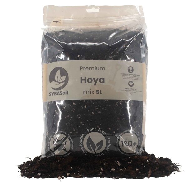Sybotanica Hoya mix 5 l
