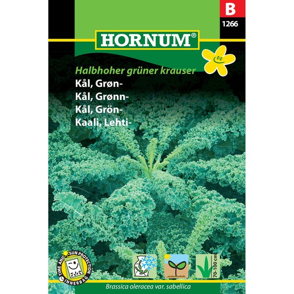 Hornum Lehtikaali ’Halbhoher grüner krauser’ (Brassica oleracea var. sabellica)
