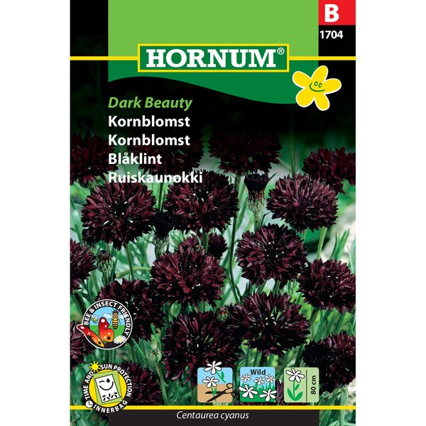 Hornum Ruiskaunokki 'Dark Beauty'	(Centaurea cyanus)